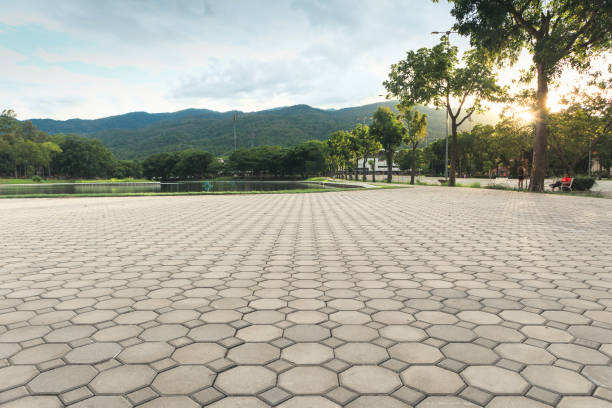 Best Professional Driveway Pavers  in Sumner, IA